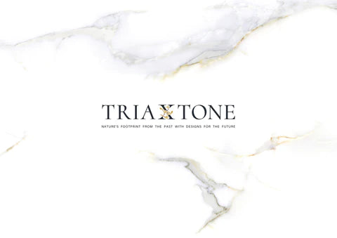 TriaXtone 2020 catalog