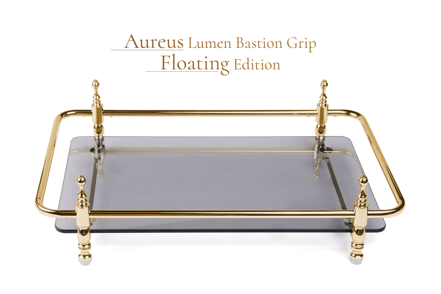 18-Inch Rectangle Tempered Glass Tray with Chrome Handles