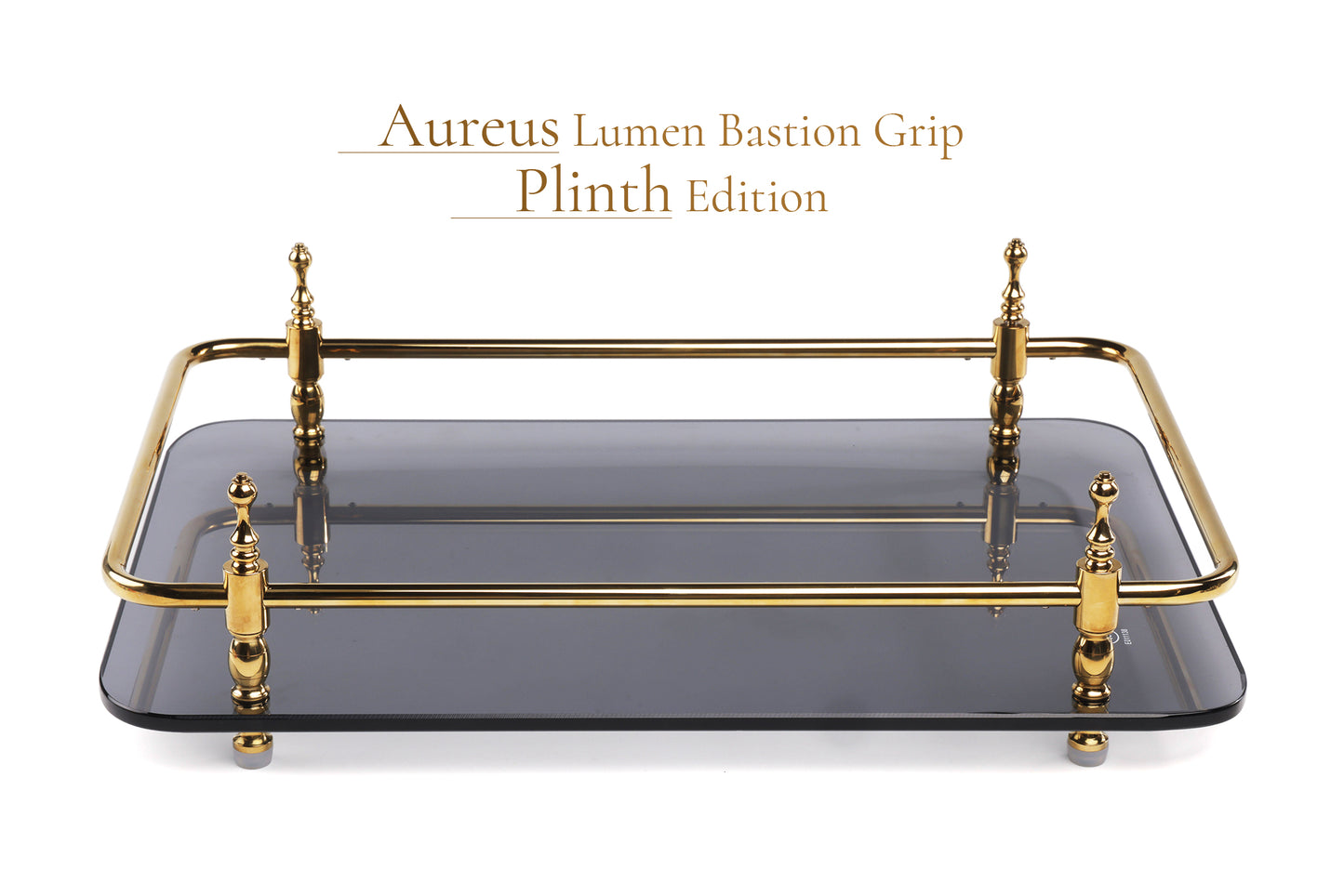 18-Inch Rectangle Tempered Glass Tray with Chrome Handles