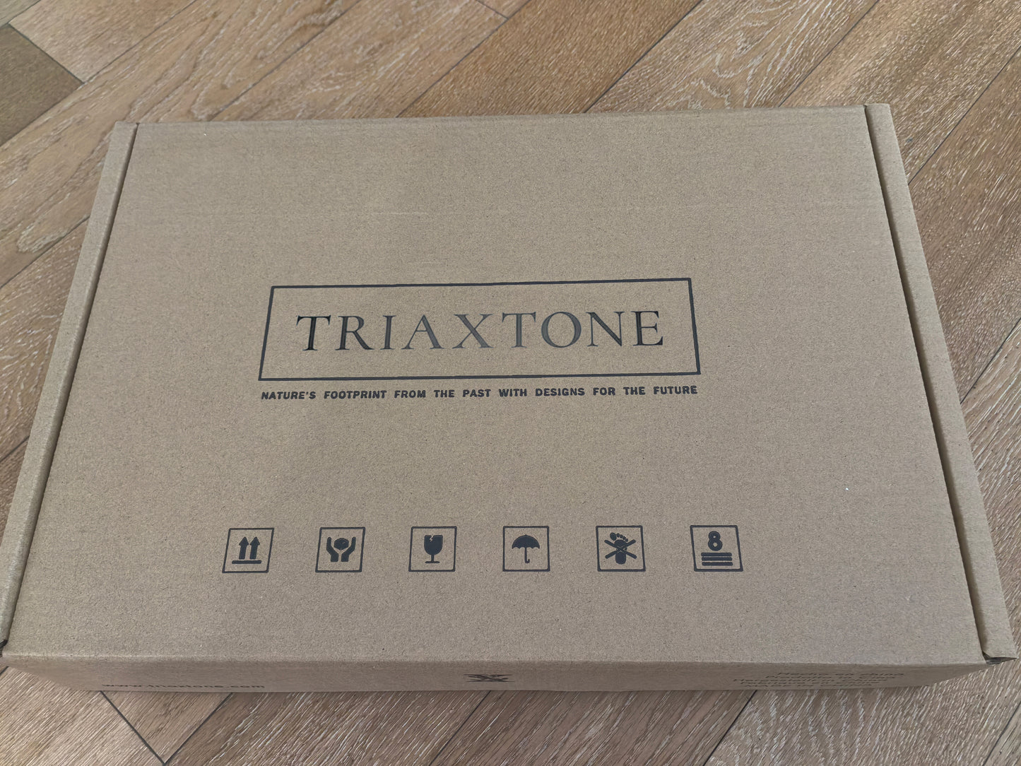 TRIAXTONE - Rectangle Nocturnal Mirage Marble Serving Tray with Brass Handles